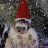 Аватарка канала Зимние эксперименты 🤍❄️