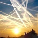 Аватарка канала Nederland Wordt Wakker