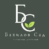 Аватар канала 1831254303
