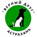 Аватарка канала 🐶vdrug_priut