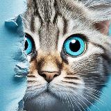 Аватар канала 1855989164