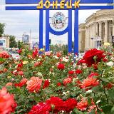 Аватарка канала Аренда ДНР Донецк