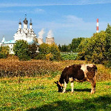 Аватарка канала Замкадье | Подмосковье | Мытищи