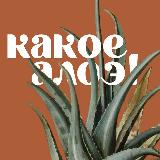 Аватарка канала Какое алоэ! | Комнатные растения