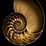 Аватар канала 1357078297