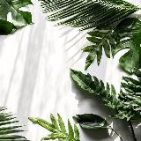 Аватар канала 1804085357