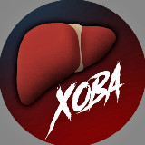 Аватарка канала Печень Ховы