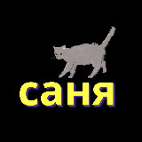 Аватарка канала ✨Саня-переводчица | Корейские новеллы✨