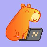 Аватарка канала Networkio — релокация и карьера за рубежом