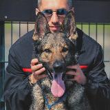 Аватарка канала Виктор Петров - кинолог, эксперт по работе со сложными собаками, зоопсихолог