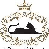 Аватарка канала КОШАЧЬЕ ЦАРСТВО - дом для бездомных кошек