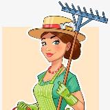 Аватарка канала Моя дача. Сад і город