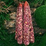 Аватарка канала Свечная Магия