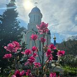 Аватарка канала 🕊️Троице - Георгиевский женский монастырь г.Сочи🕊️