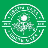 Аватарка канала ЦВЕТЫ БАХА - BFR.RU