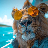 Futures VIP Signals CRYPTO avatar