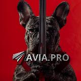 Аватарка канала "Avia.pro"