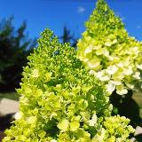 Аватар канала 1985199059