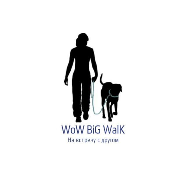 Аватарка канала WoW BiG WalK