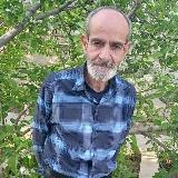 گونئی سسی احمدی avatar