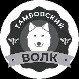 Аватарка канала Тамбовский волк