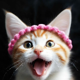 Аватарка канала 🐶🐱🐰Забавные и милые животные