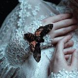 Аватар канала 1204840850