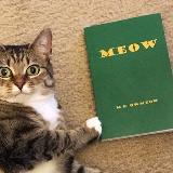 Аватарка канала Bouquinistka