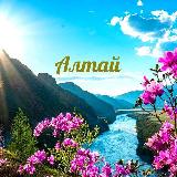 Аватарка канала АЛТАЙ - Отдых и Туризм ️💖