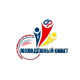 Аватарка канала Молодежный совет ОСФР по Владимирской области