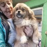 Аватар канала 1538803031