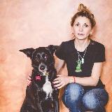 Аватарка канала Уханова и лапы: пишу о собаках и кошках