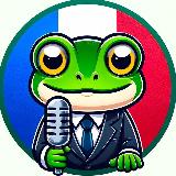 Аватарка канала France Information 🇫🇷 Froggy TV 🐸