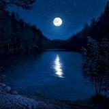 Аватар канала 1929508157