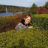 Аватарка канала Vse.o.zelenom/Ландшафтный дизайн/Обрезка плодовых