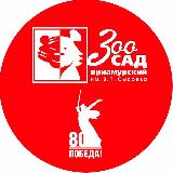 Аватарка канала Зоосад "Приамурский"