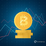 Krypto Arbitrage avatar