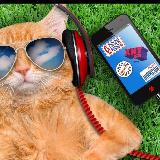 Аватар канала 1894740904