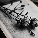 Аватарка канала Цитаты из книг | Литература