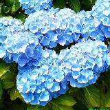 Аватарка канала Пирожковая - "История болезни" и прочие пироги с котятами