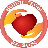 Аватарка канала Волонтеры ЗА ЗОЖ