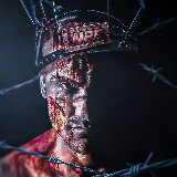 Аватарка канала MMA review