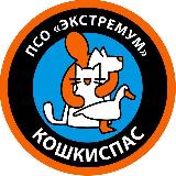 Аватарка канала Кошкиспас