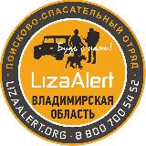 Аватарка канала ДПСО "ЛизаАлерт" Владимирская область