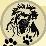 Аватар канала 1600857968