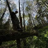 Аватар канала 2229041610