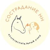 Аватарка канала БФ СостраданиеНН🐾