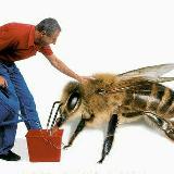 Аватарка канала "Yetti xazina 🐝🐝🐝"