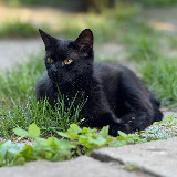 Аватарка канала "Мутные Базары"