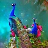 Аватар канала 1917822240